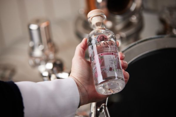 Plan B Distillery - Pepper Rose Gin Bottle - Product Shot - 2